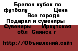 Брелок кубок по футболу Fifa 2018 › Цена ­ 399 - Все города Подарки и сувениры » Сувениры   . Иркутская обл.,Саянск г.